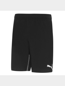 Шорты спортивные PUMA Fcsd Training Shorts модель 764109 Фото