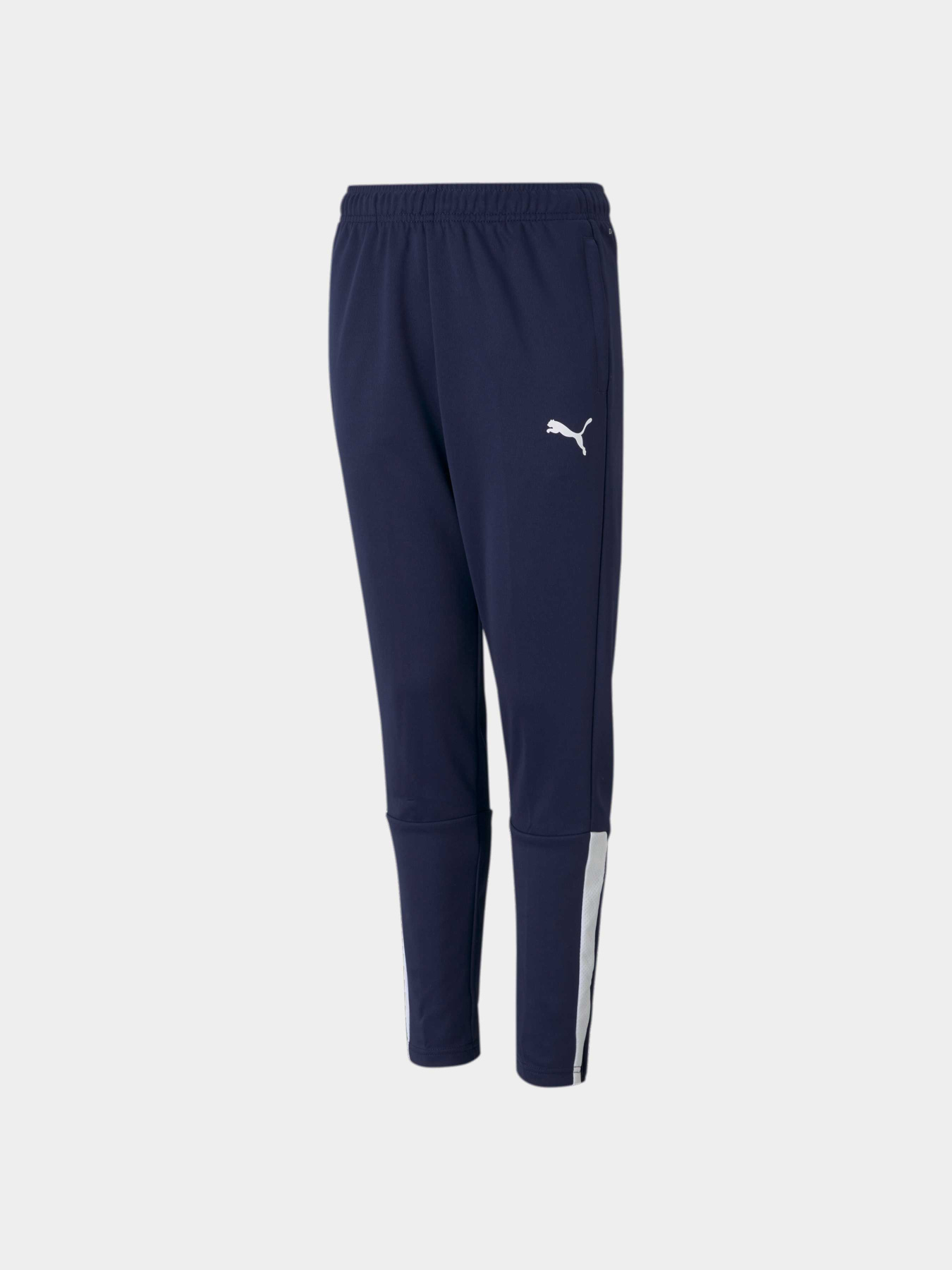 Штаны спортивные PUMA Teamliga Training Pants Jr модель 657243 Фото