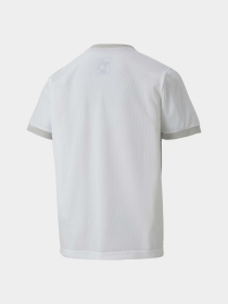 Спортивная футболка PUMA Teamgoal 23 Jersey Jr модель 704160 Фото