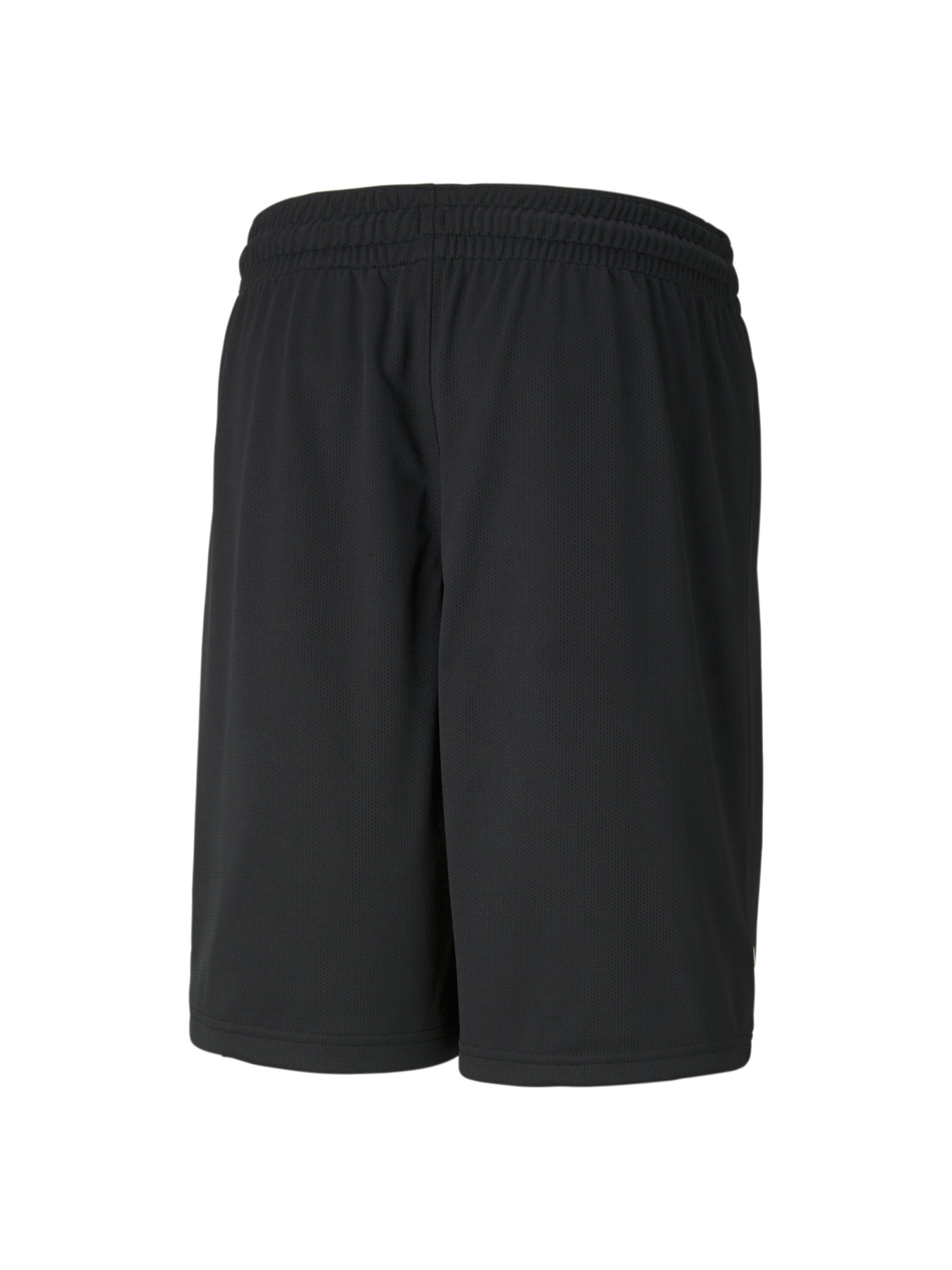 Шорты спортивные PUMA модель 605075 Фото