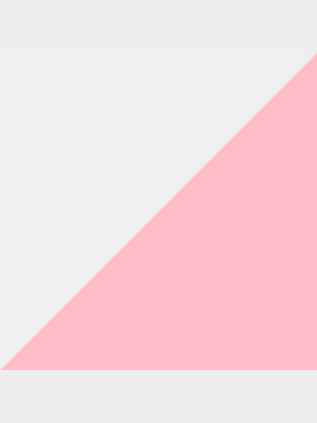 Набор носков PUMA Women Footie 2p модель 907977 Фото