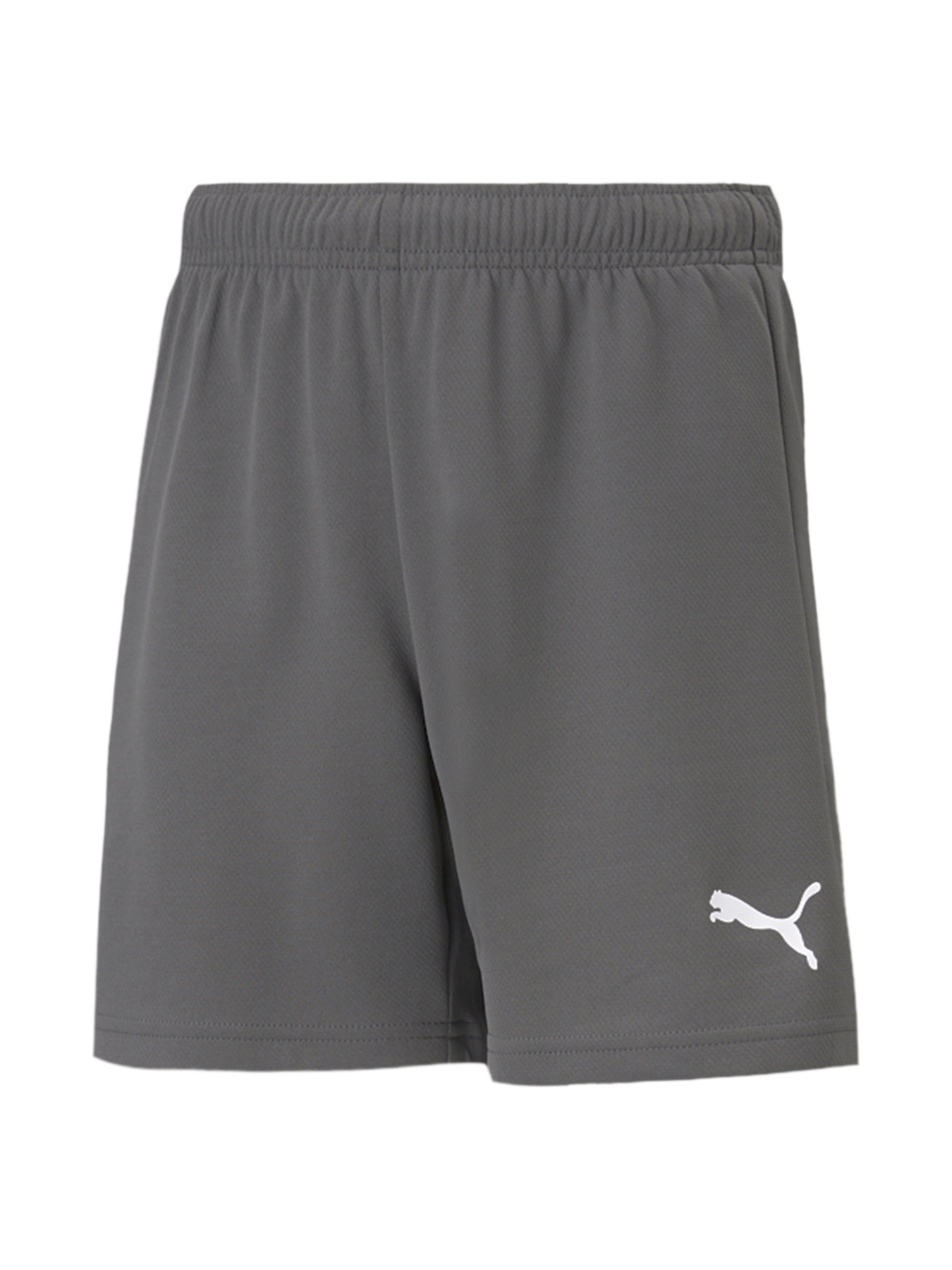 Шорты спортивные PUMA Teamrise Short Jr модель 704943 Фото