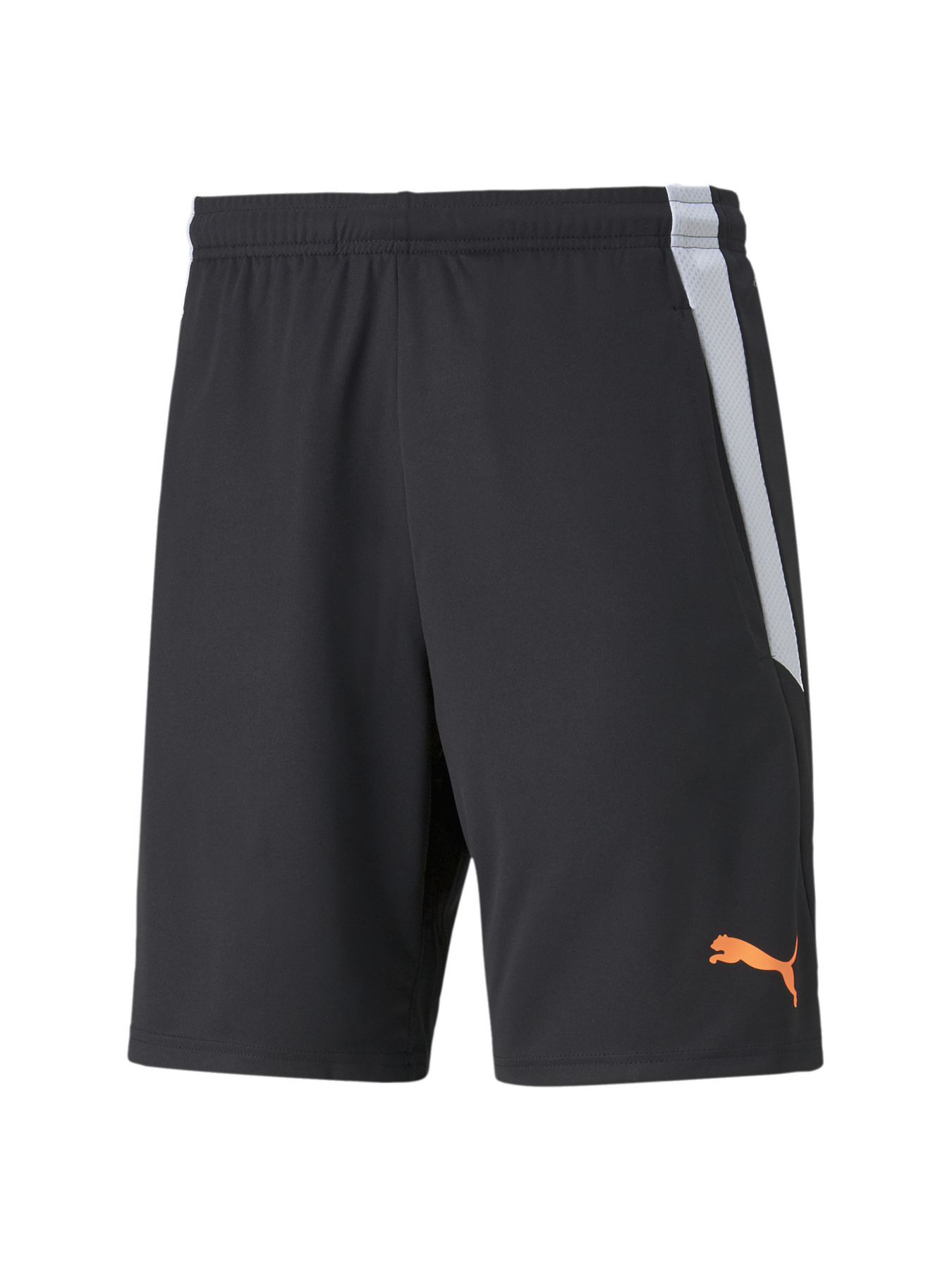 Спортивні шорти PUMA Teamliga Training Shorts 2 модель 657667 Фото