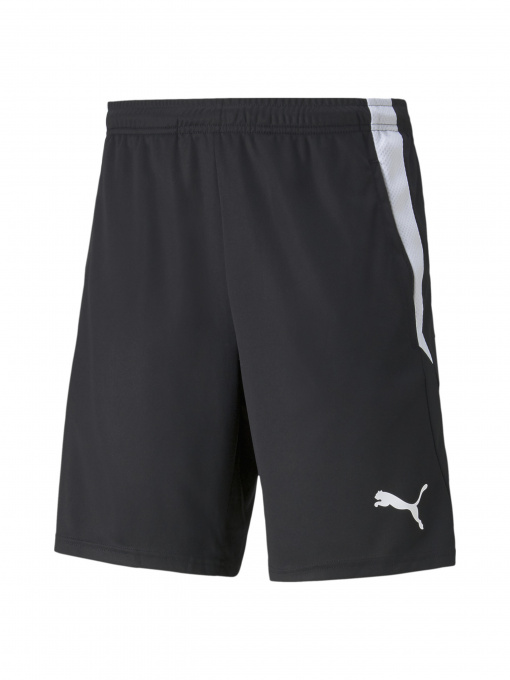 Шорты спортивные PUMA Teamliga Training Shorts 2 модель 657667 Фото