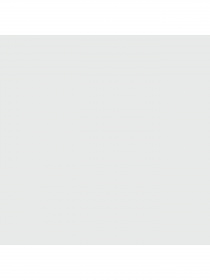 Набор носков PUMA Unisex Footie 2P High C модель 907981 Фото