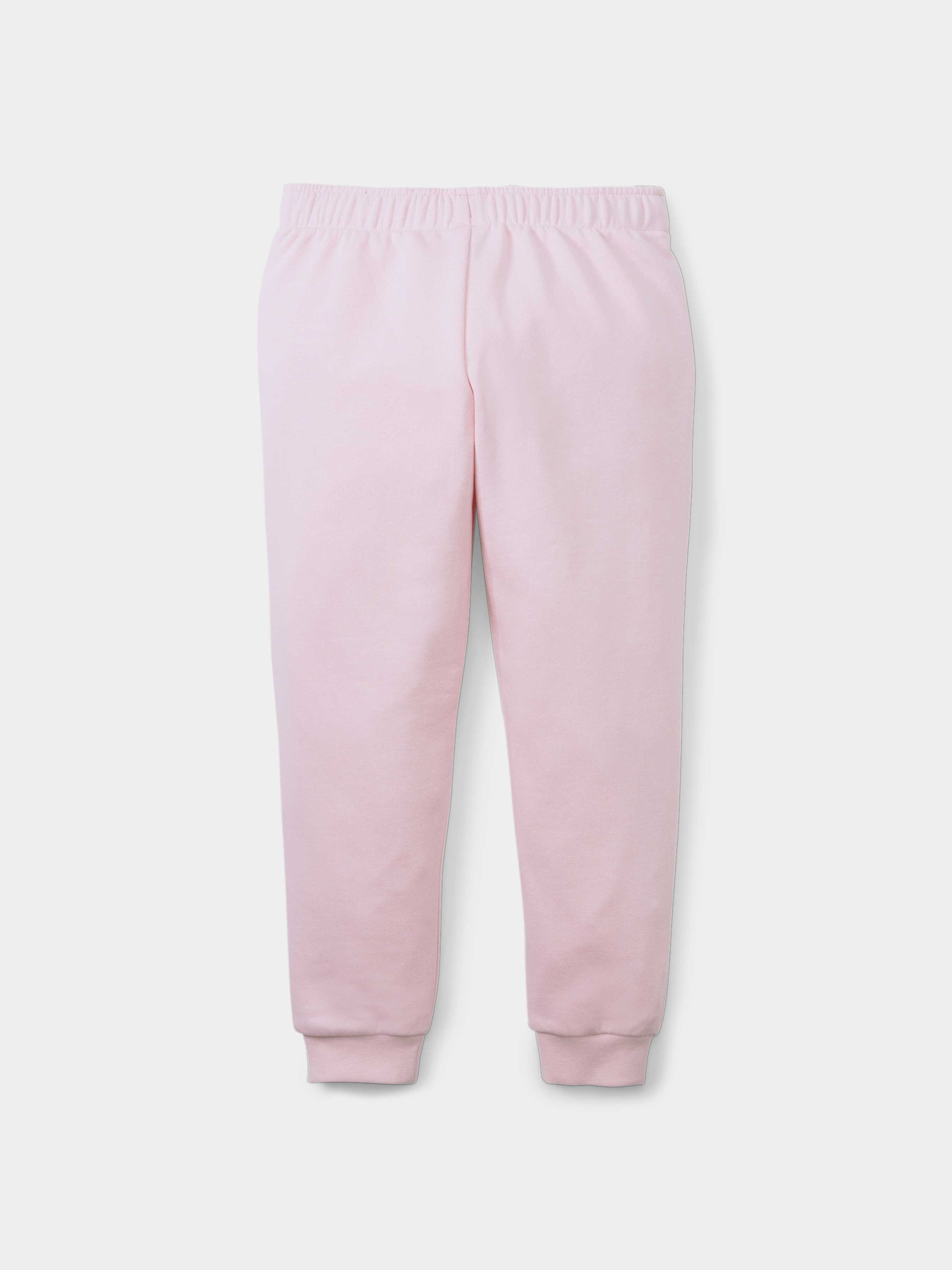 Спортивні штани PUMA Fruitmates Sweatpants модель 847317 Фото