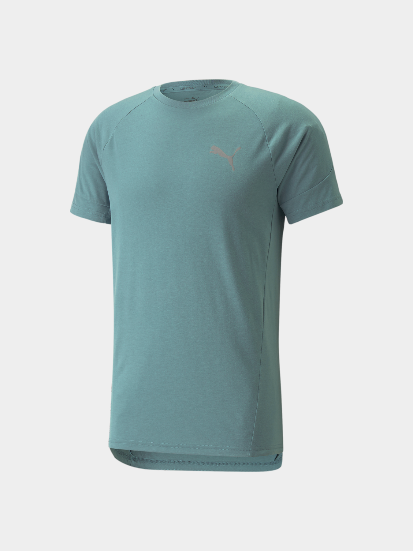 Футболка PUMA Evostripe Tee модель 847394 Футболка PUMA Evostripe Tee модель 847394 Фото