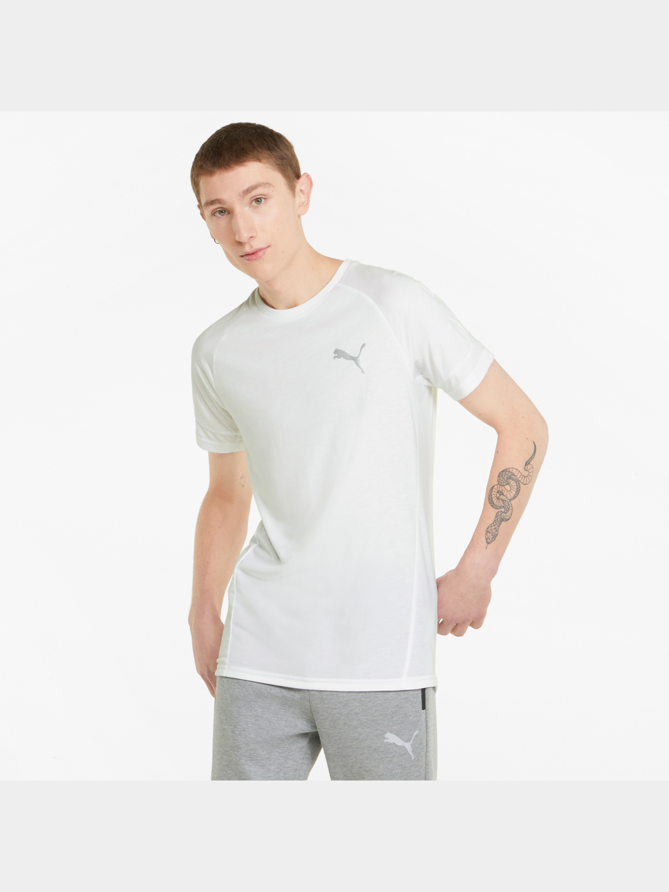 Футболки и поло PUMA Evostripe Tee модель 847394 Футболки и поло PUMA Evostripe Tee модель 847394 Фото