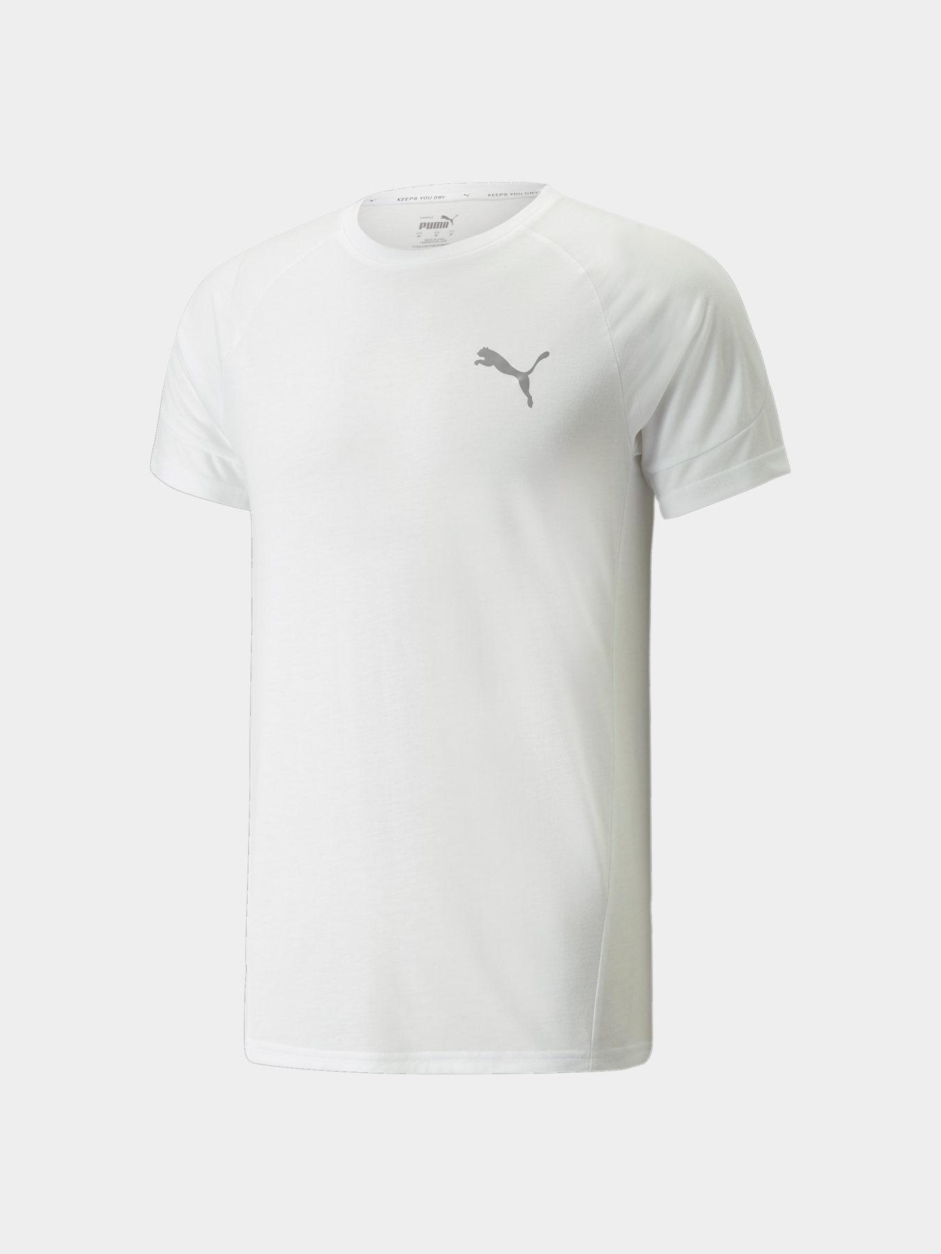 Футболки и поло PUMA Evostripe Tee модель 847394 Футболки и поло PUMA Evostripe Tee модель 847394 Фото