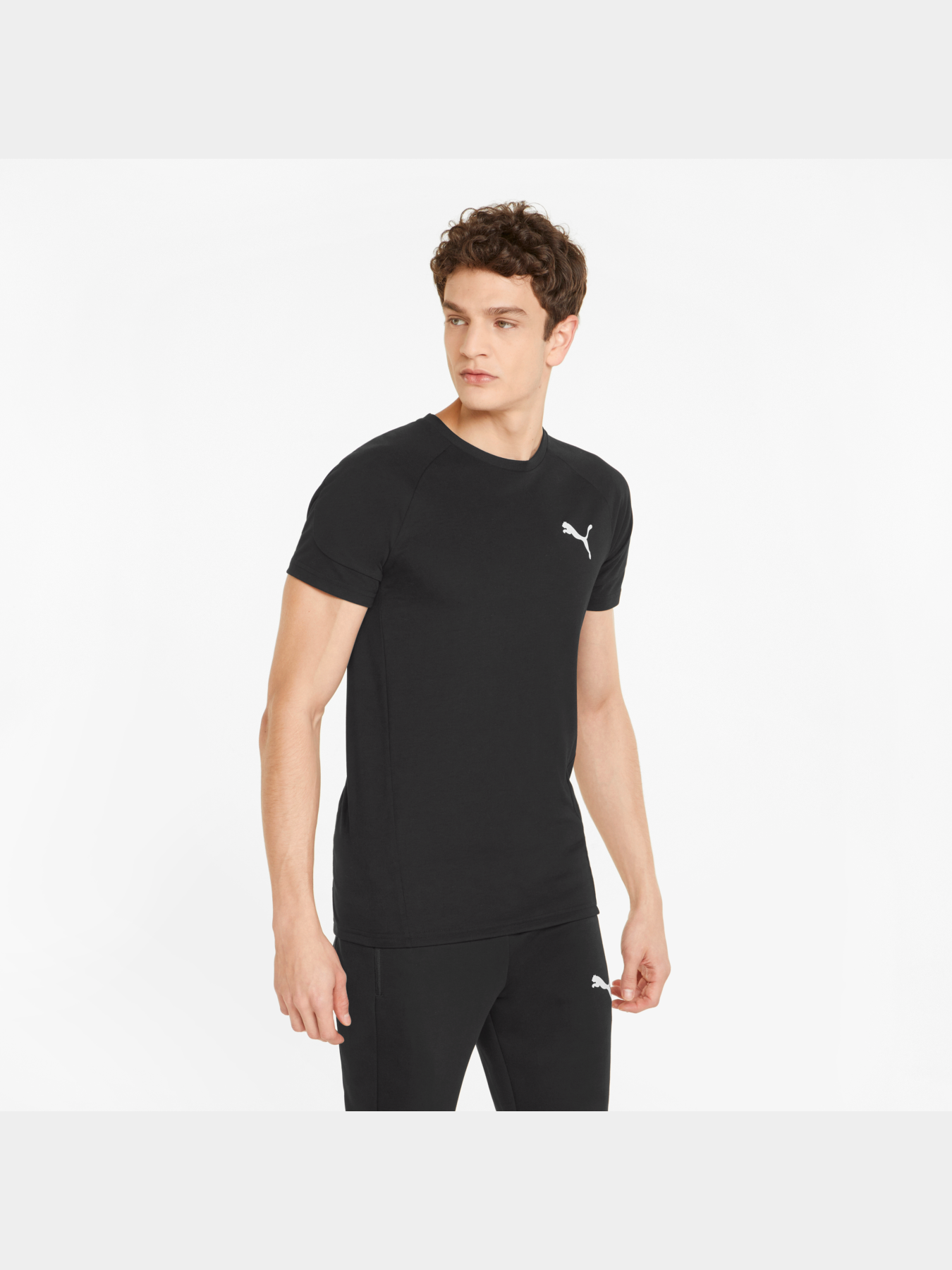 Футболки и поло PUMA Evostripe Tee модель 847394 Футболки и поло PUMA Evostripe Tee модель 847394 Фото