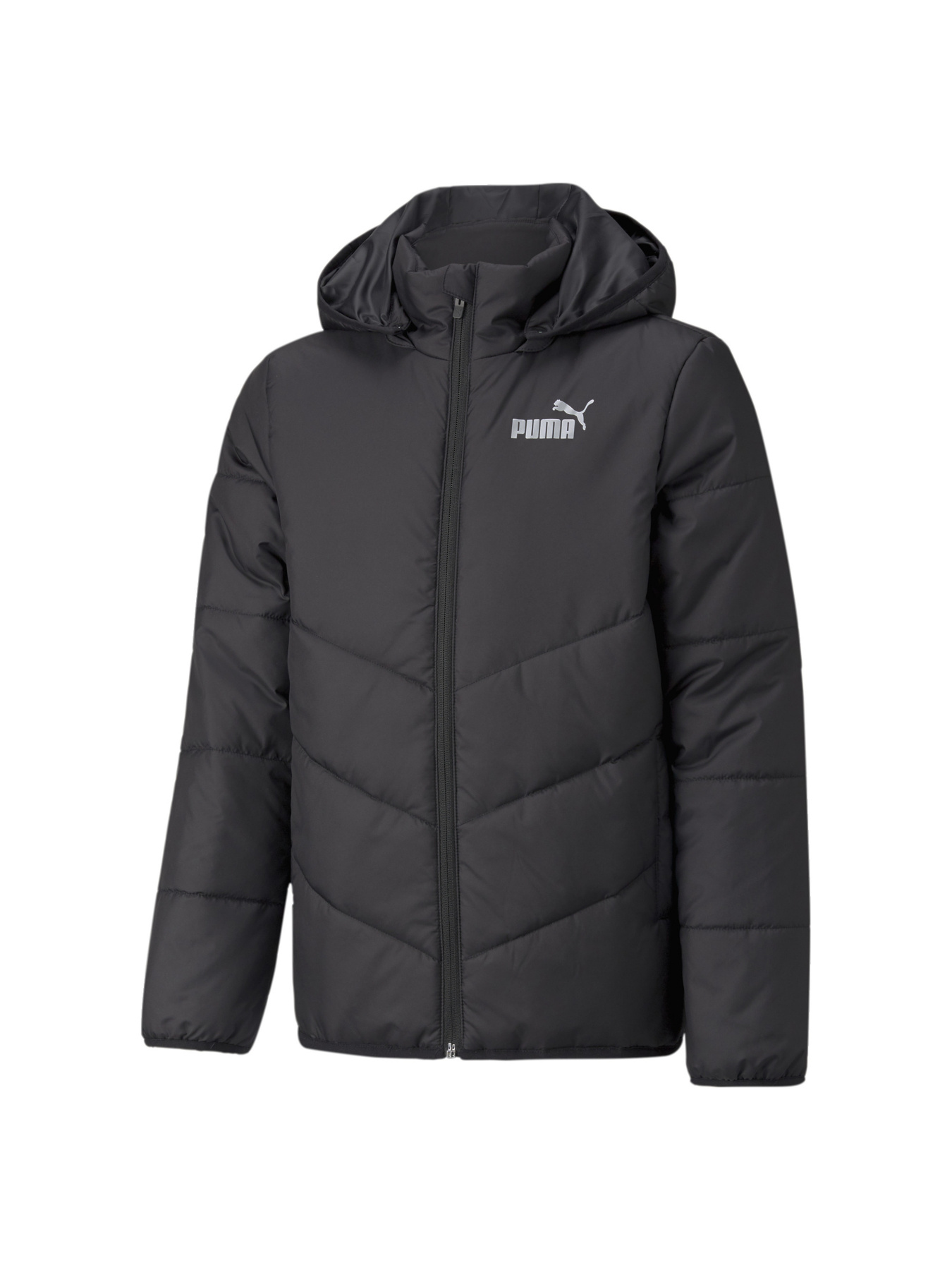 Демисезонная куртка PUMA модель 589569 Фото