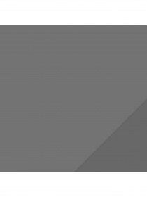 Набор носков PUMA Women Quarter 2P модель 907956 Фото