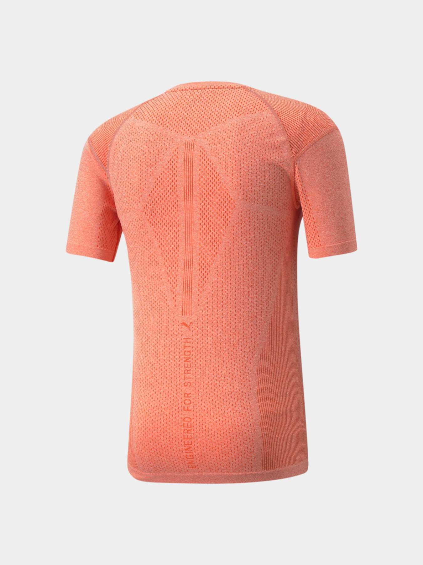 Спортивная футболка PUMA Train Evoknit Ss Tee модель 521512 Фото