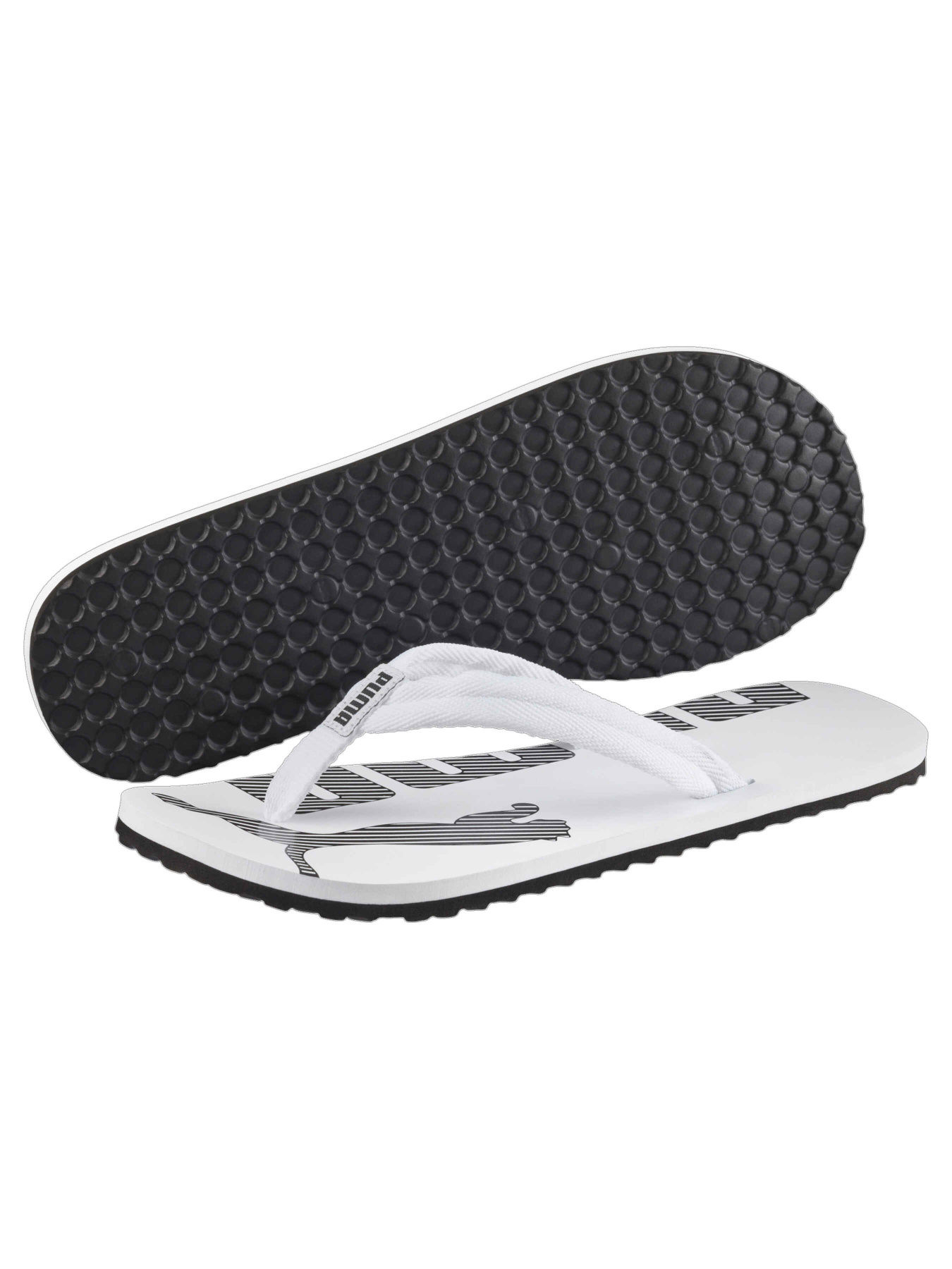 Шлепанцы PUMA Epic Flip V2 модель 360248 Фото