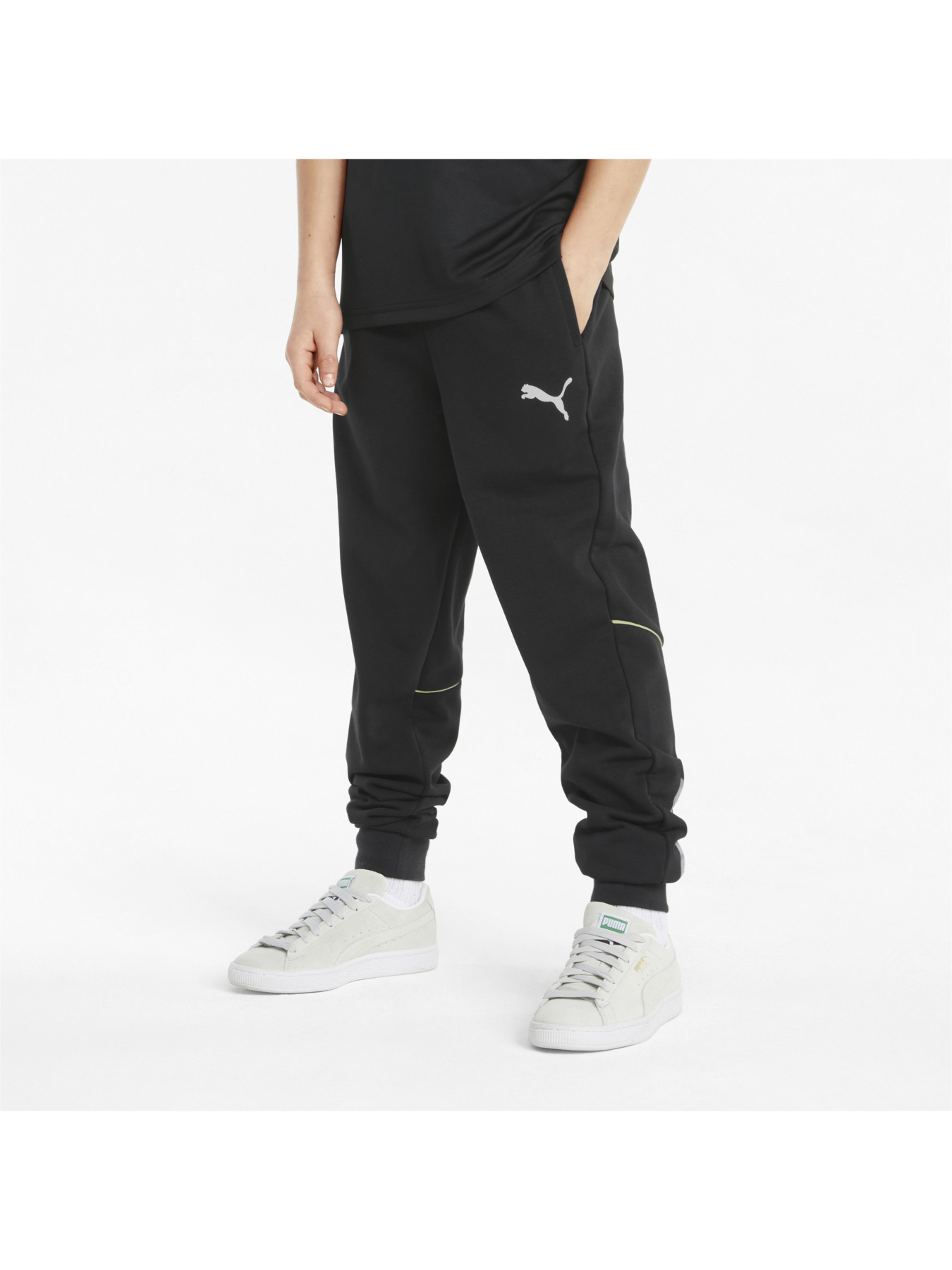 Штаны спортивные PUMA Active Sports Sweatpants модель 846999 Фото