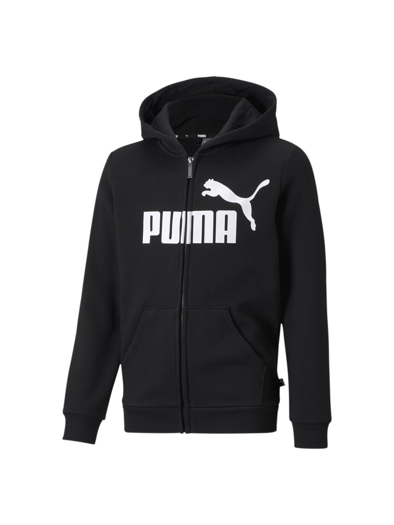 Кофта PUMA Ess Big Logo Fz Hoodie модель 586967 Фото