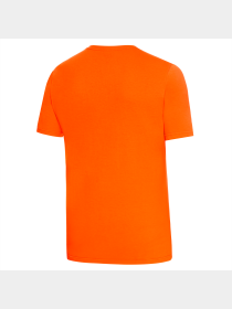 Футболка спортивная PUMA Fcsd Ftblcore Wording Tee модель 764122 Фото