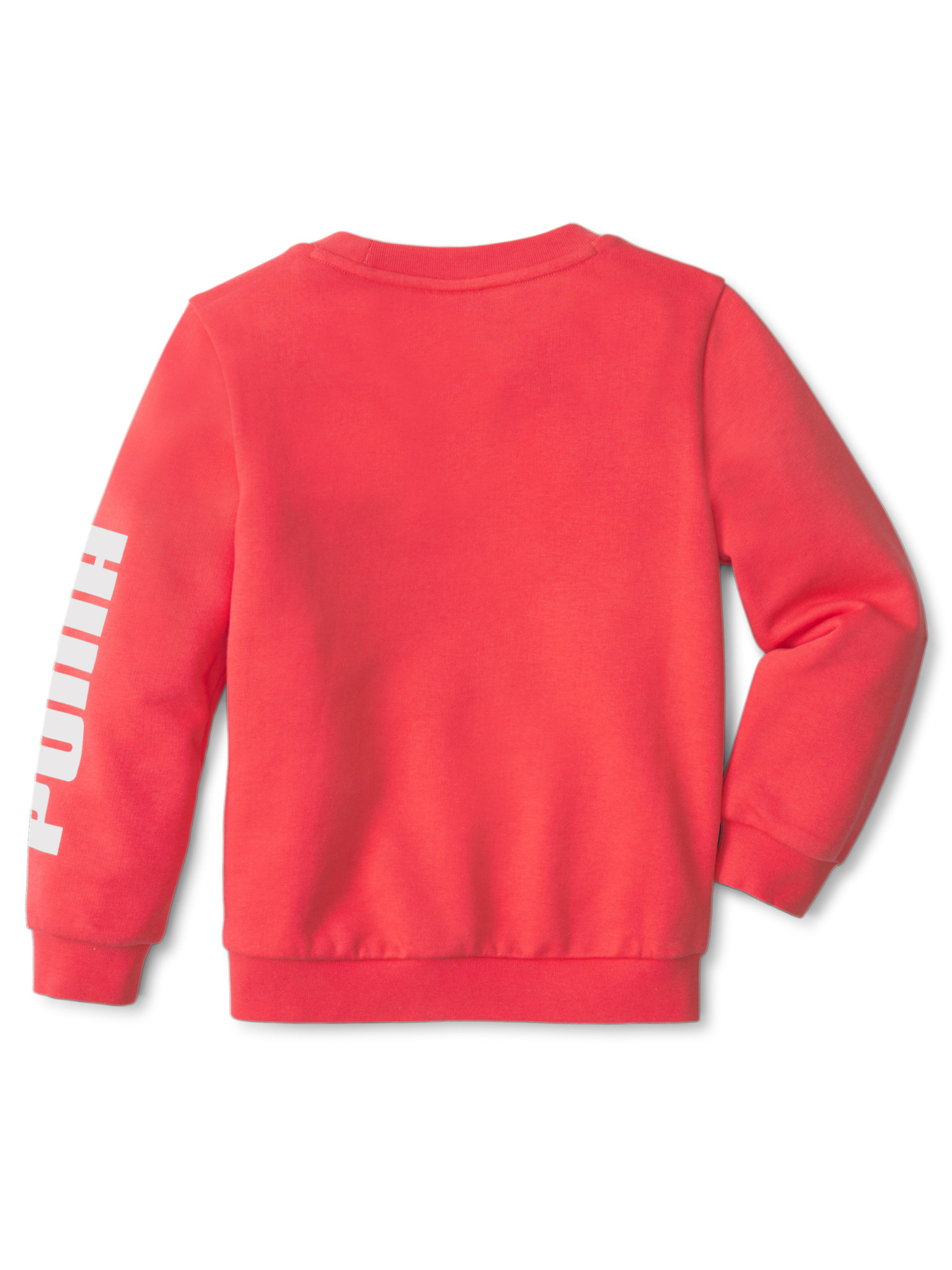 Свитшот PUMA модель 589250 Фото