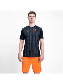 Футболка спортивная PUMA Fcsd Away Shirt Replica модель 764097 Фото