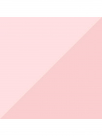 Носки PUMA Women Sneaker Studio 1P модель 935270 Фото