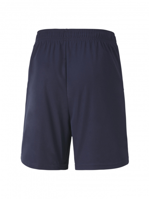 Шорты спортивные PUMA модель 704263 Фото