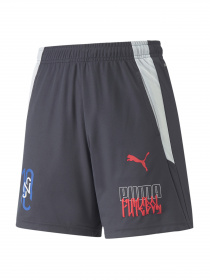 Шорти спортивні PUMA модель 605603 Фото