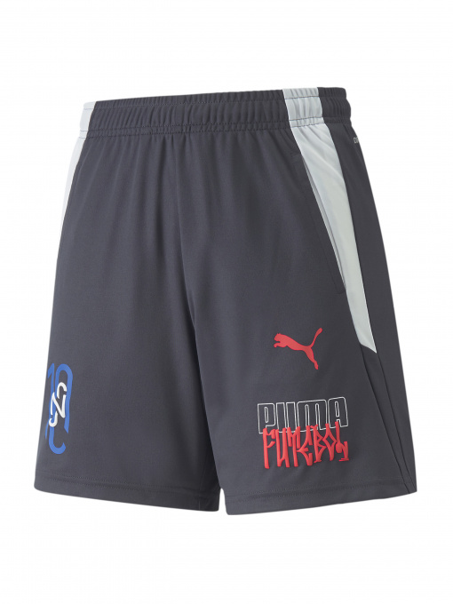 Шорты спортивные PUMA модель 605603 Фото