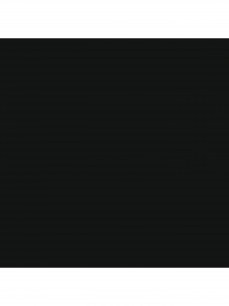 Набор носков PUMA Women Outline Logo Sneaker 2P модель 935268 Фото