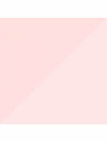 Набор носков PUMA Women Outline Logo Sneaker 2P модель 935268 Фото