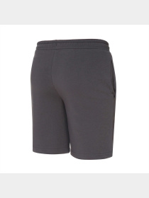 Штаны спортивные PUMA Shorts модель 537418 Фото