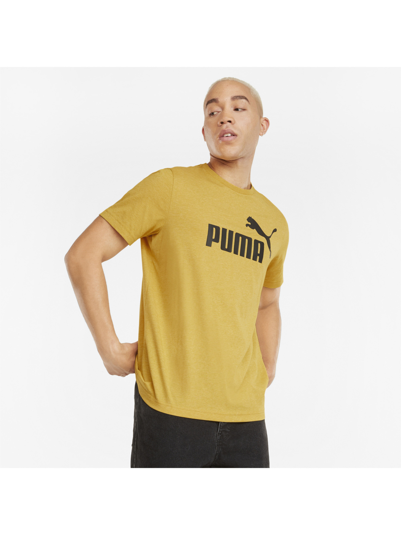 Футболки и поло PUMA модель 586736 Фото