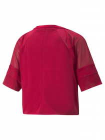 Футболка спортивная PUMA Fashion Luxe Raglan Top модель 520946 Фото