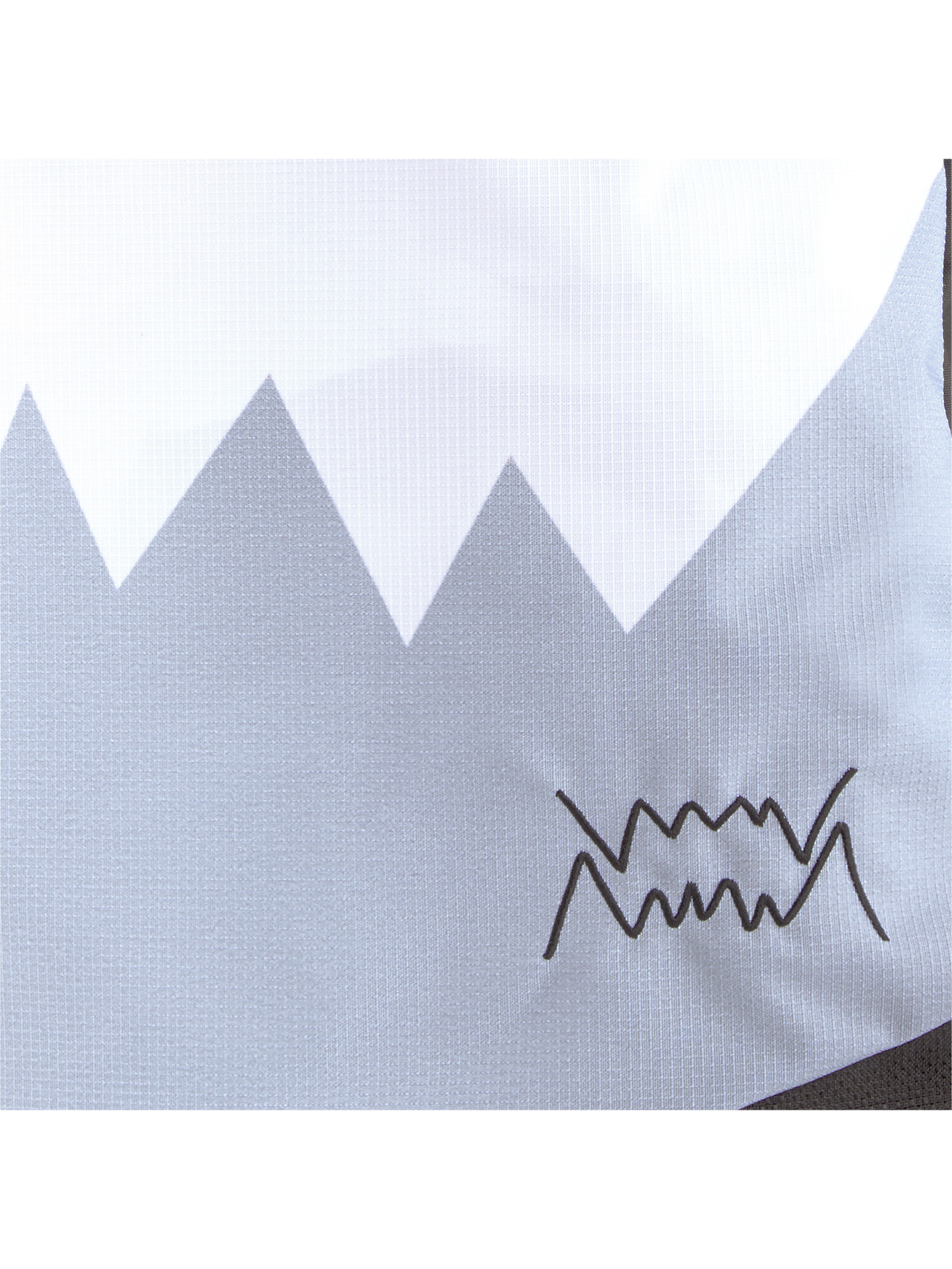 Сумка PUMA Basketball Gym Sac модель 078625 Фото