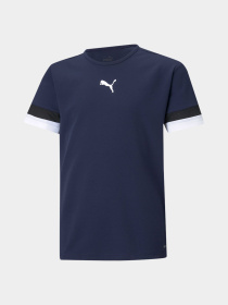 Спортивная футболка PUMA Teamrise Jersey Jr модель 704938 Фото