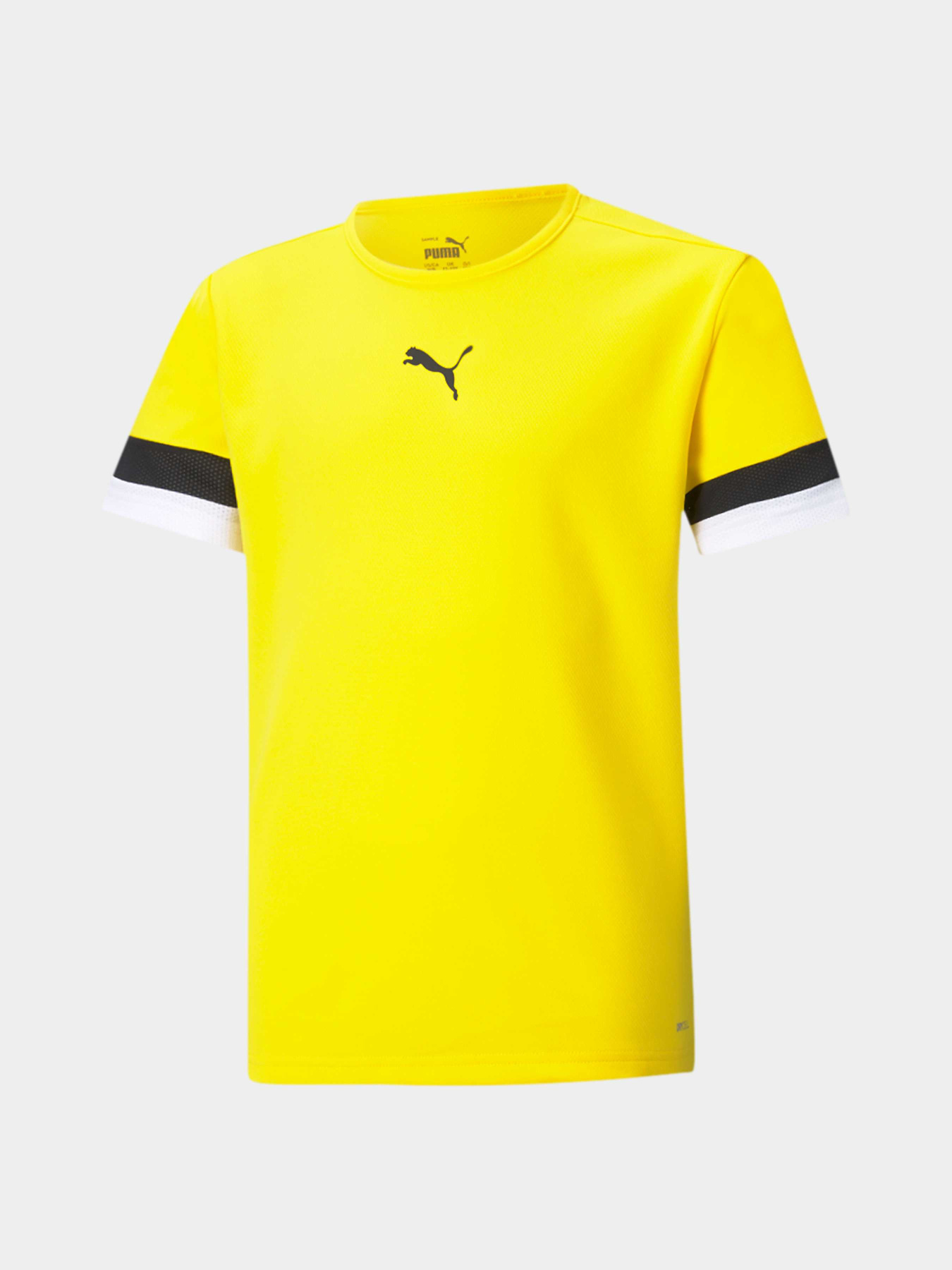 Спортивна футболка PUMA Teamrise Jersey Jr модель 704938 Фото