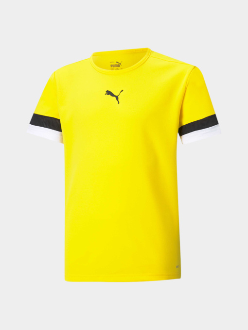 Спортивна футболка PUMA Teamrise Jersey Jr модель 704938 Фото