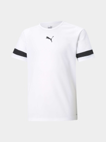 Футболка спортивна PUMA Teamrise Jersey Jr модель 704938 Фото