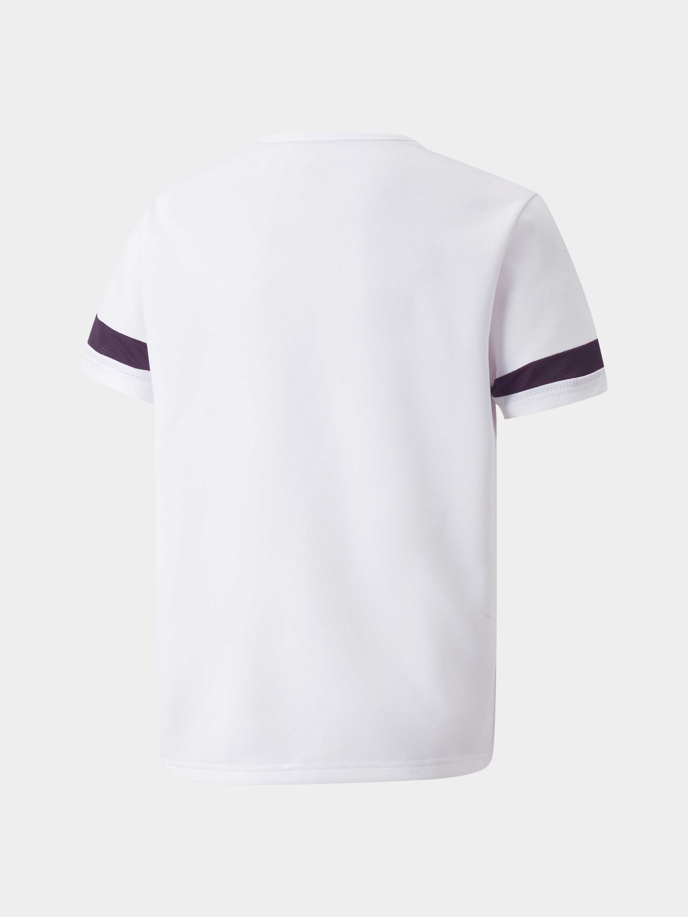 Спортивная футболка PUMA Teamrise Jersey Jr модель 704938 Фото