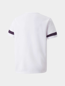 Спортивная футболка PUMA Teamrise Jersey Jr модель 704938 Фото