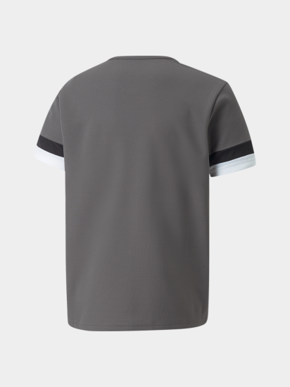 Футболка спортивна PUMA Teamrise Jersey Jr модель 704938 — фото - INTERTOP