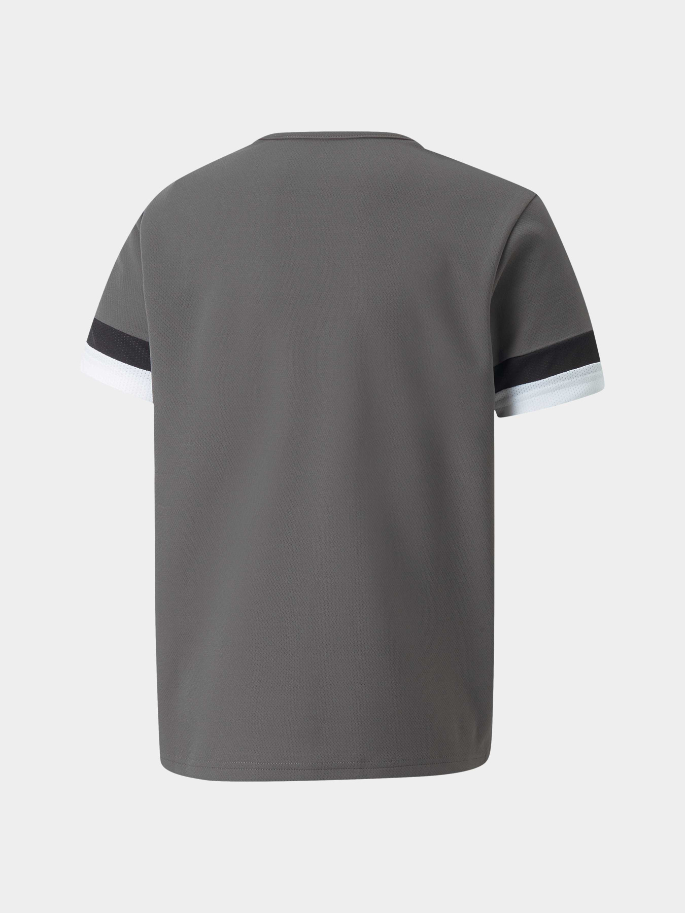 Спортивна футболка PUMA Teamrise Jersey Jr модель 704938 Фото