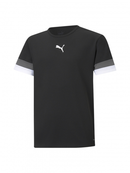 Спортивна футболка PUMA Teamrise Jersey Jr модель 704938 Фото