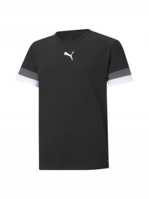 Спортивная футболка PUMA Teamrise Jersey Jr модель 704938 Фото