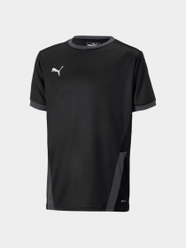 Футболка спортивная PUMA Teamgoal 23 Jersey Jr модель 704160 Фото