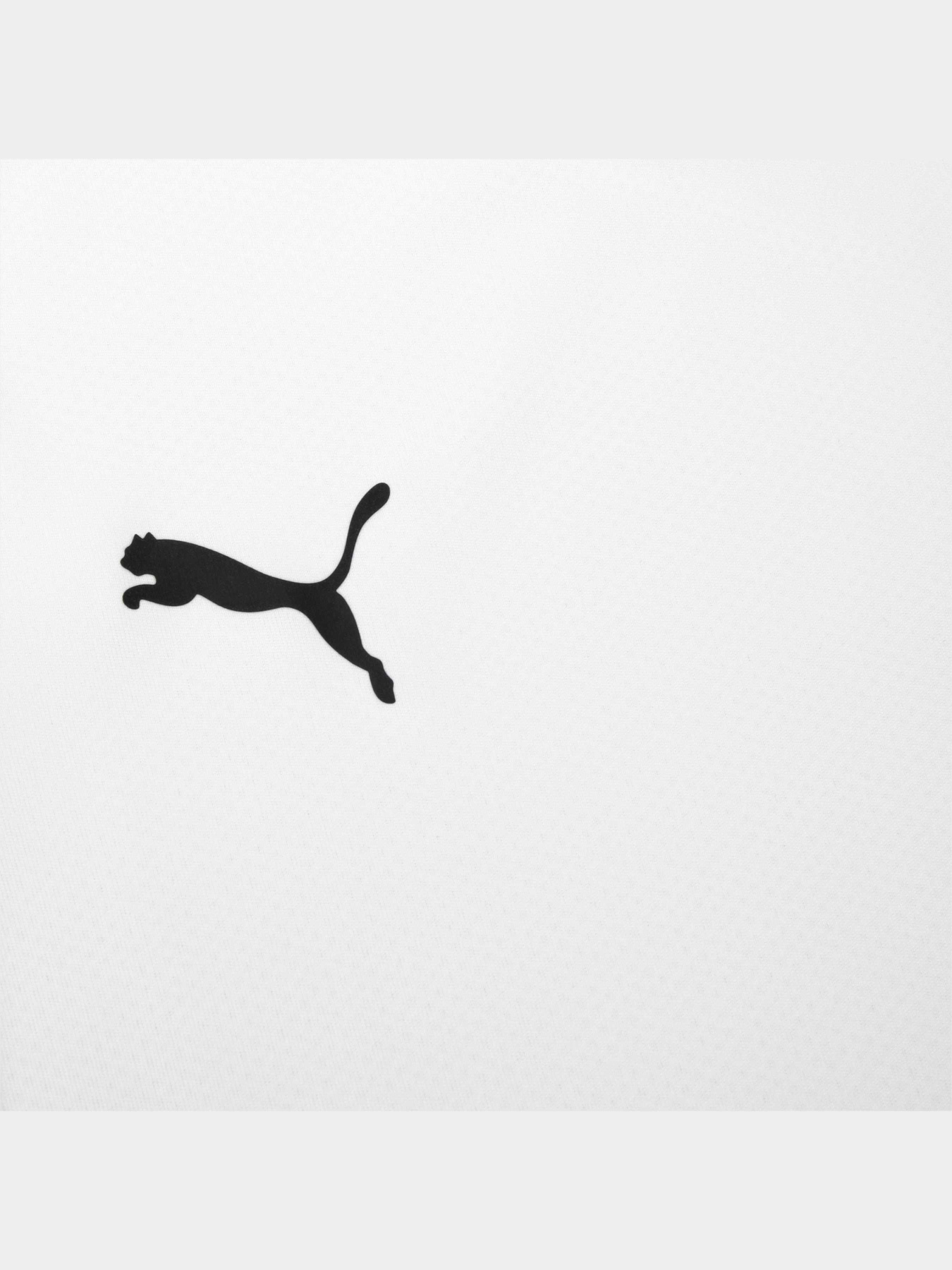 Футболка спортивная PUMA Teamgoal 23 Jersey Jr модель 704160 Фото