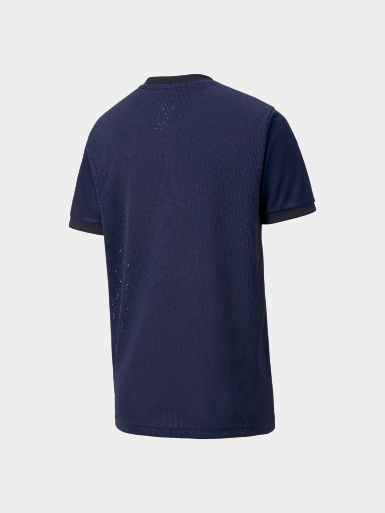 Спортивная футболка PUMA Teamgoal 23 Jersey Jr модель 704160 Фото