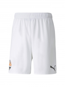 Спортивні шорти PUMA модель 764103 Фото