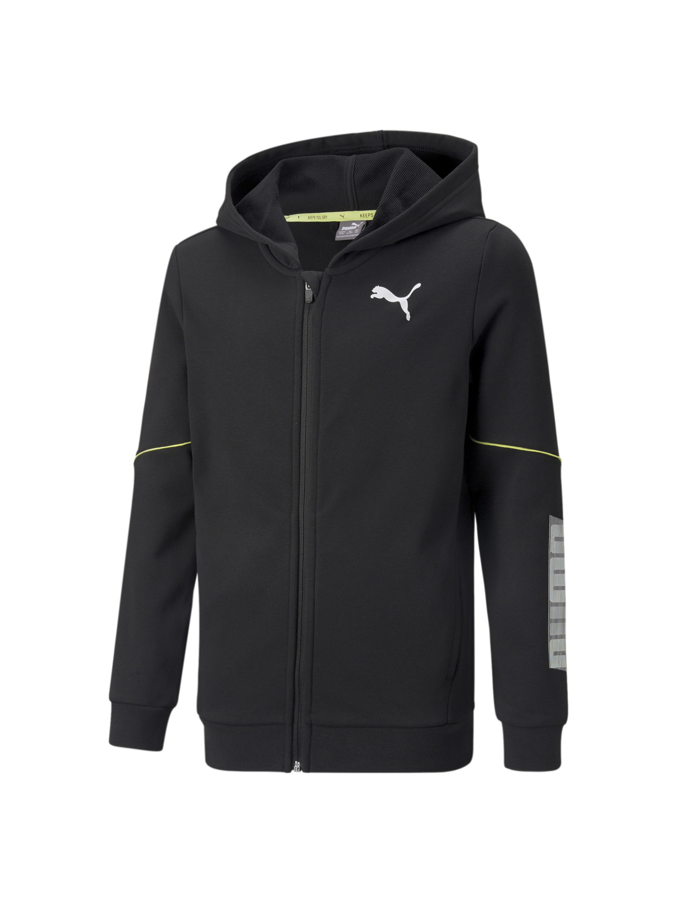 Кофта спортивная PUMA Active Sports Fz Hoodie модель 846997 Фото