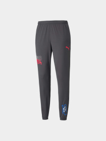 Штани спортивні PUMA Neymar Jr Futebol Trg Pant модель 605600 Фото