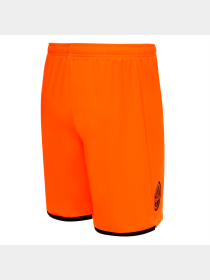 Шорты спортивные PUMA Fcsd Shorts Replica модель 764104 Фото